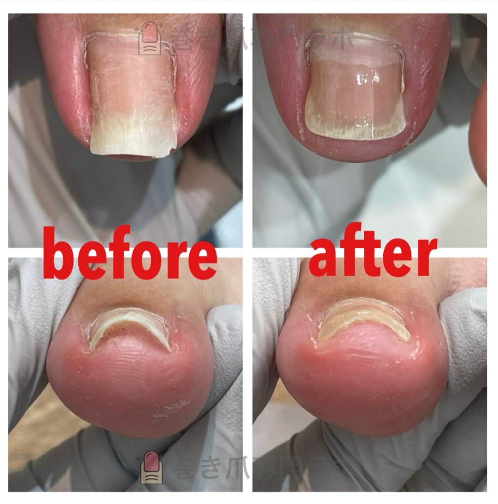 本年もよろしくお願いいたします