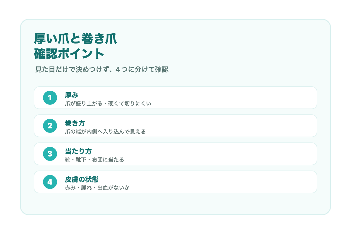 厚い爪と巻き爪で確認したいポイントをまとめた図解