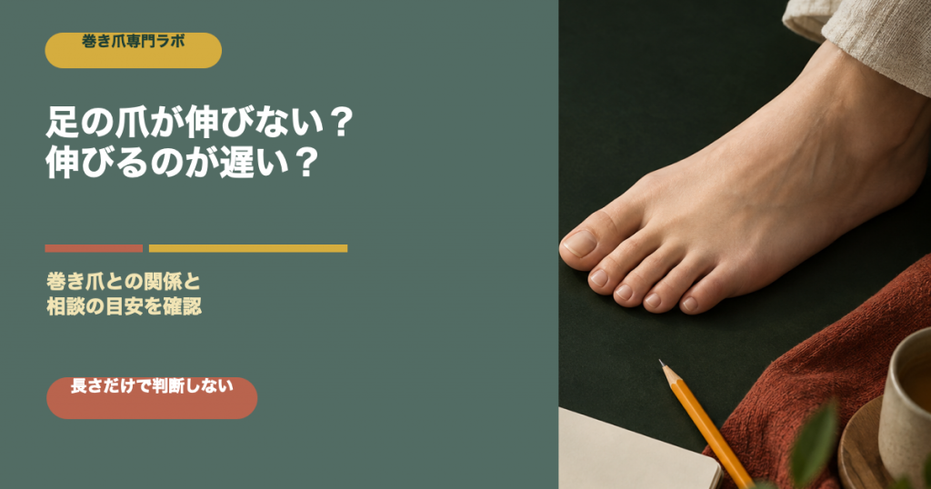 足の爪が伸びない・伸びるのが遅いのはなぜ？巻き爪との関係と相談目安｜巻き爪専門ラボ